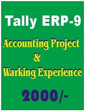 Tally ERP-9